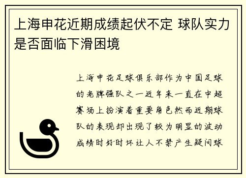 上海申花近期成绩起伏不定 球队实力是否面临下滑困境